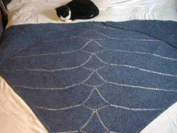Blue Shawl with lace